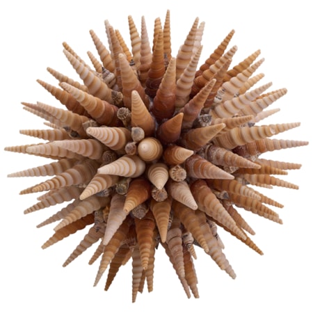 Marlin Shell Ball (Lg)