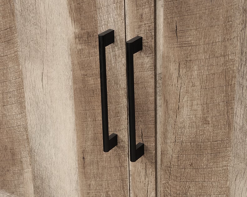 Sauder HomePlus Two-Door Storage Cabinet