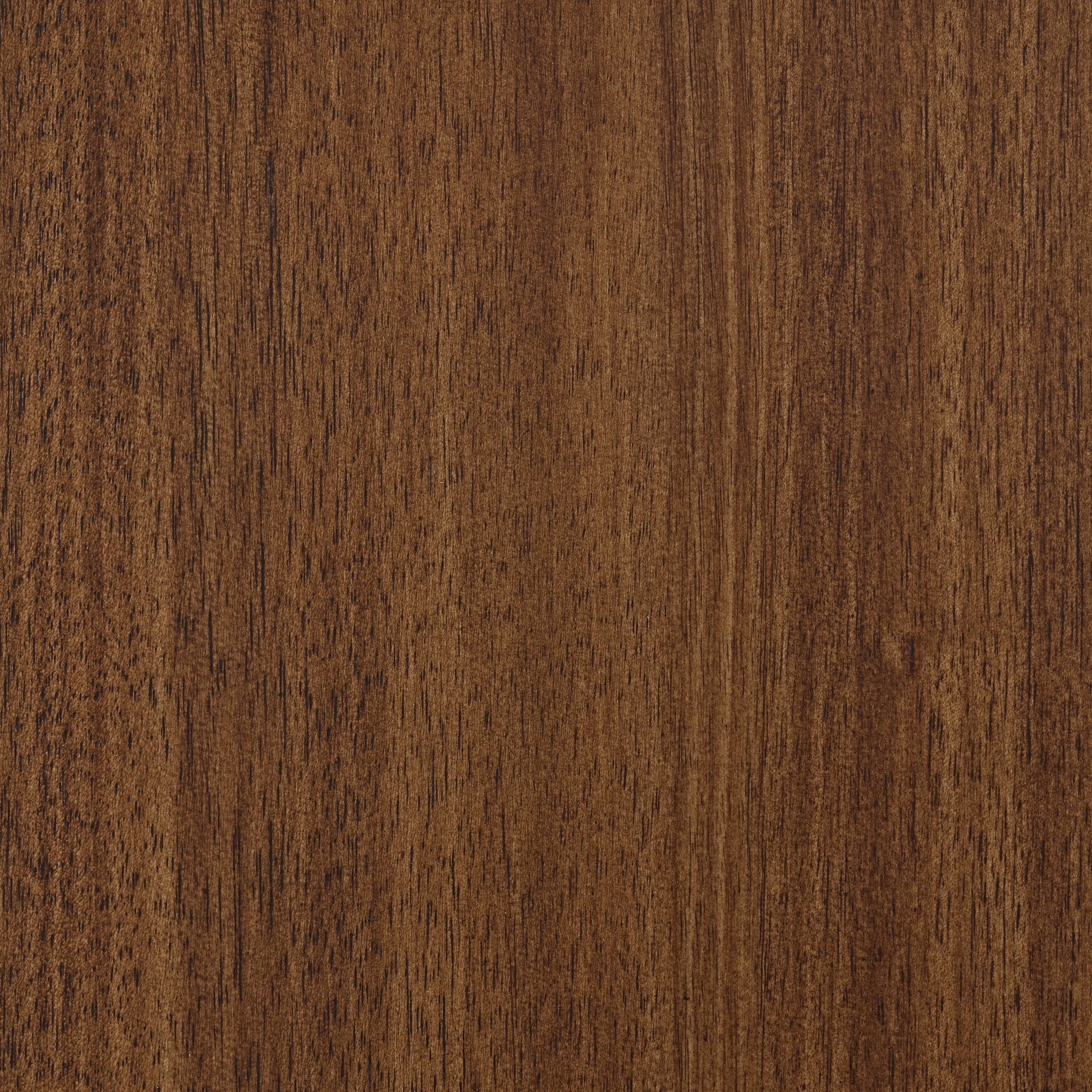 59" Upholstered Dining Bench