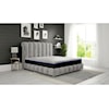 Elements International Butterfly 12 in King Mattress Compressed