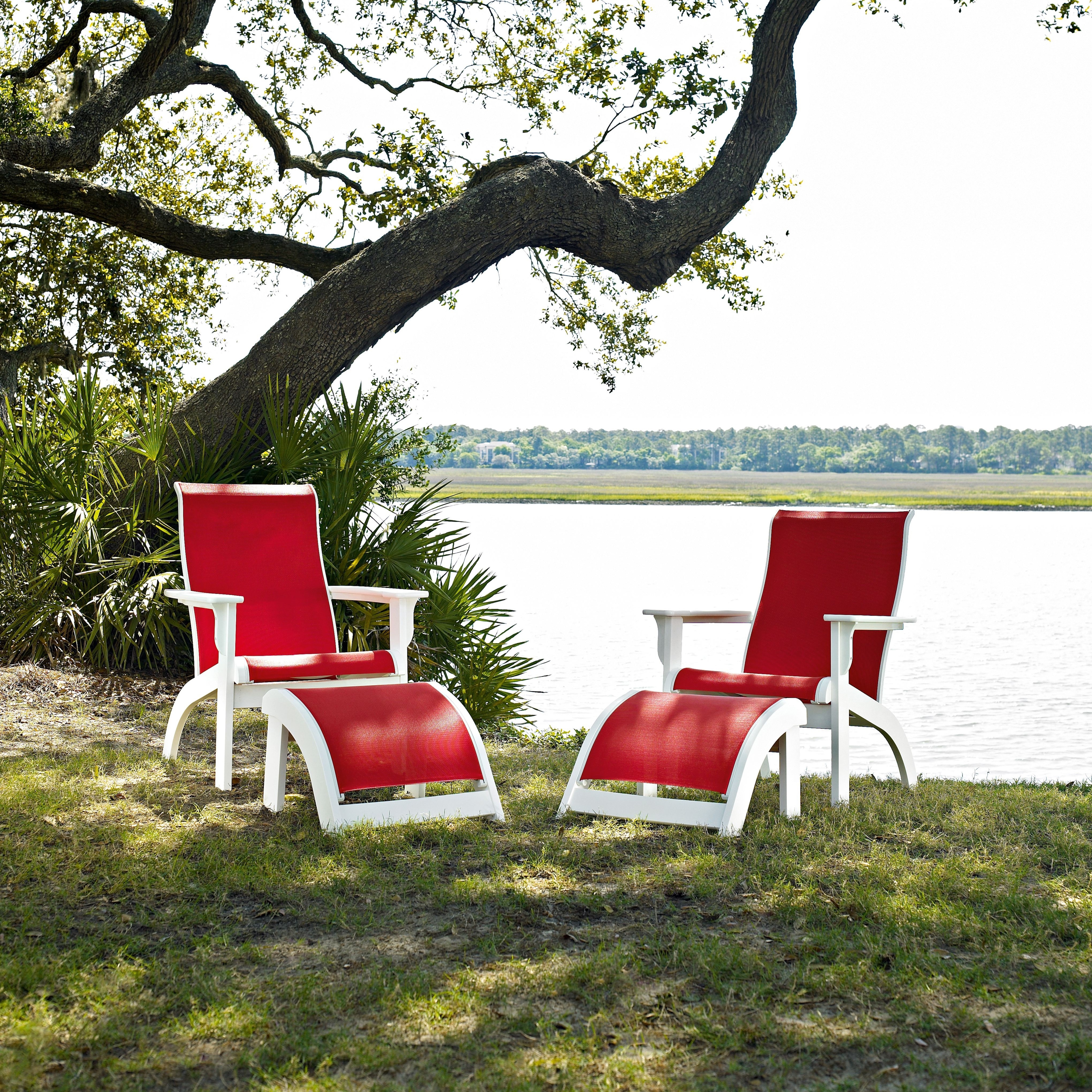 Collection Thumbnail