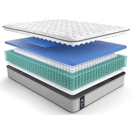 Queen 12&quot; Soft TT Encased Coil Mattress