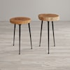 Belfort Essentials Global Archive Wood and Iron Accent Tables (Set of 2)