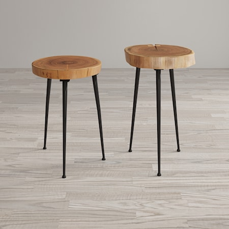 Wood and Iron Accent Tables (Set of 2)