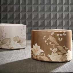 Collection Thumbnail