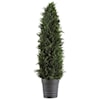 Uttermost Accessories Cypress Cone Topiary