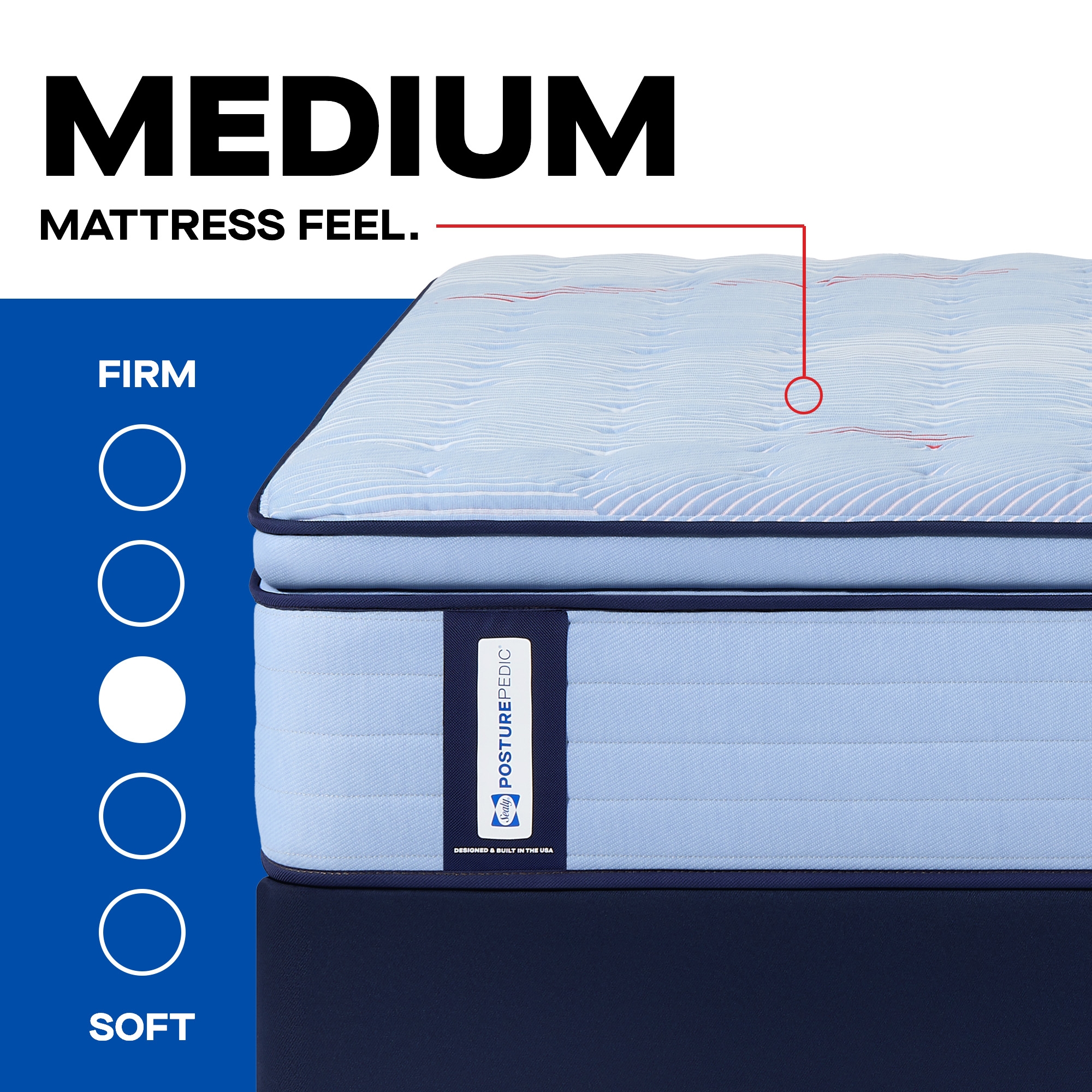 Dudley Euro Pillow Top Medium Full