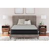 Sierra Sleep Palisades Plush Queen Mattress