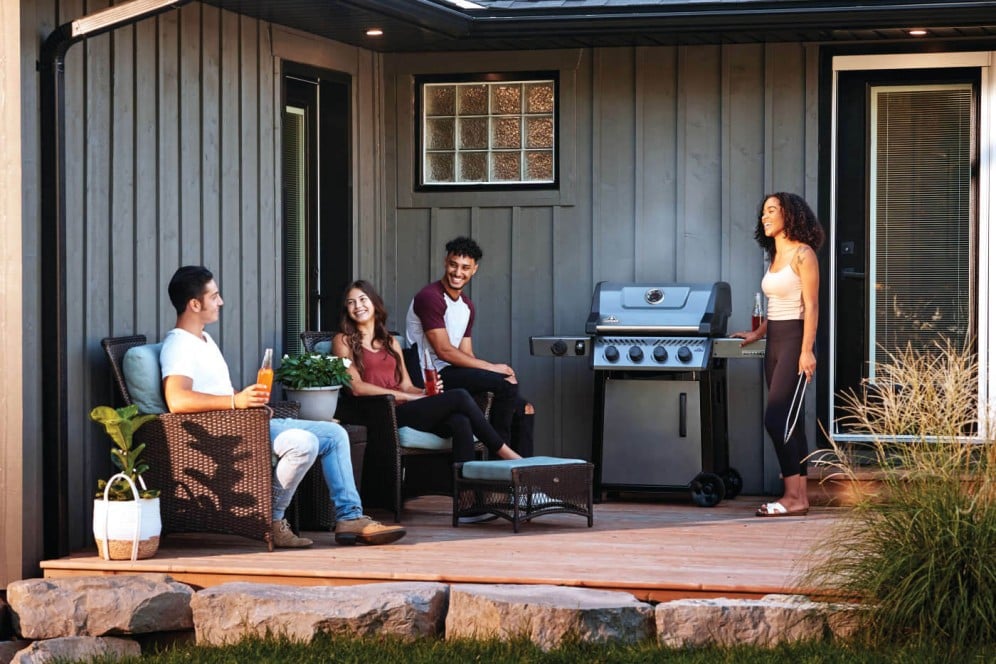 Napoleon Barbeques Freestyle 425 SB