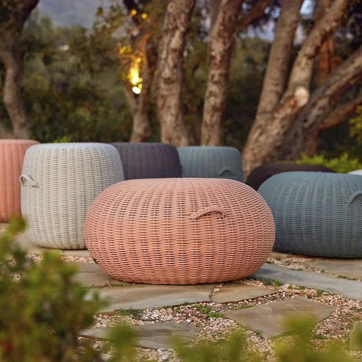 Collection Thumbnail