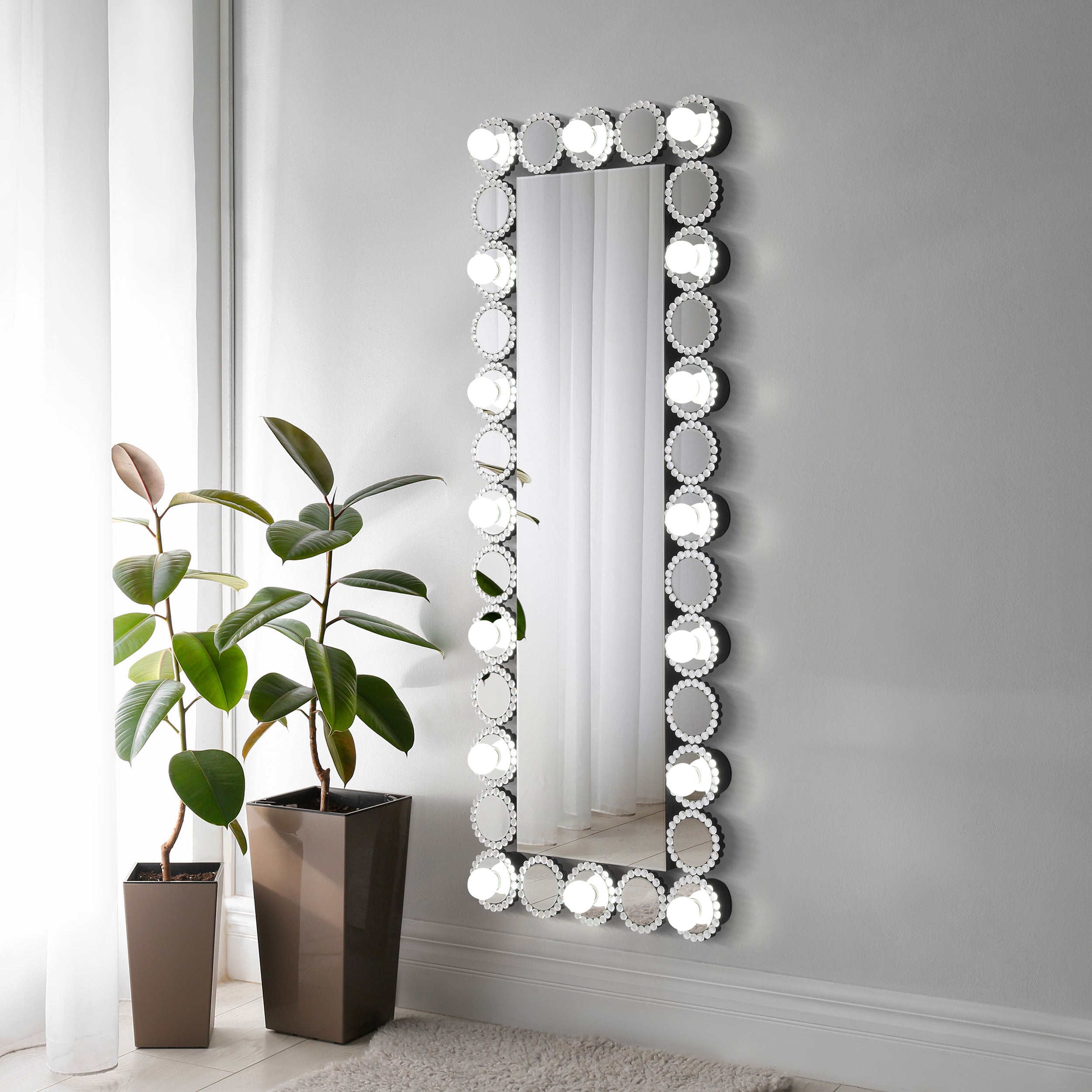 Aghes 24 x 62 Inch Wall Mirror w/ing