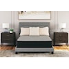 Sierra Sleep Palisades Firm Queen Mattress