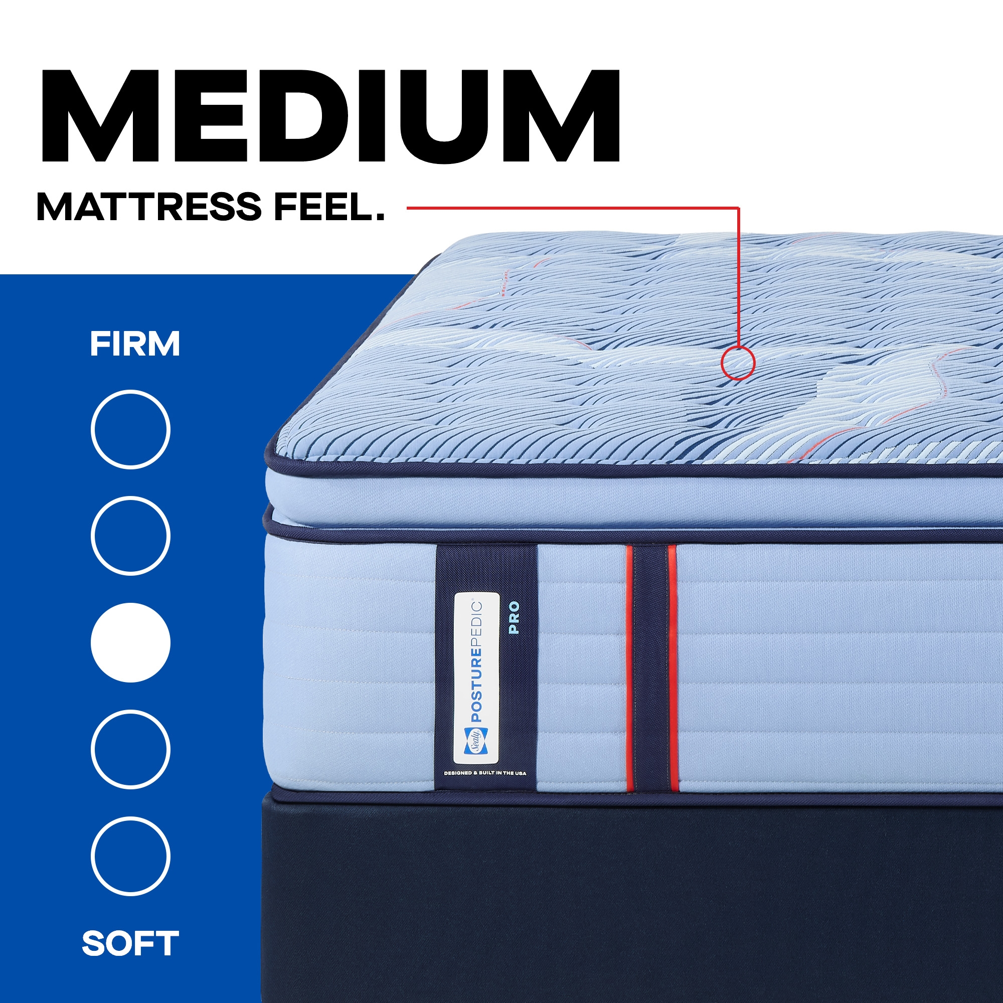 Sonterra Euro Pillow Top Medium King