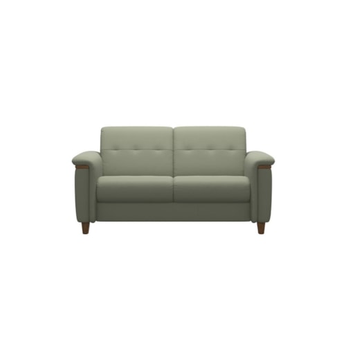 Transitional 2-Seat Sofa