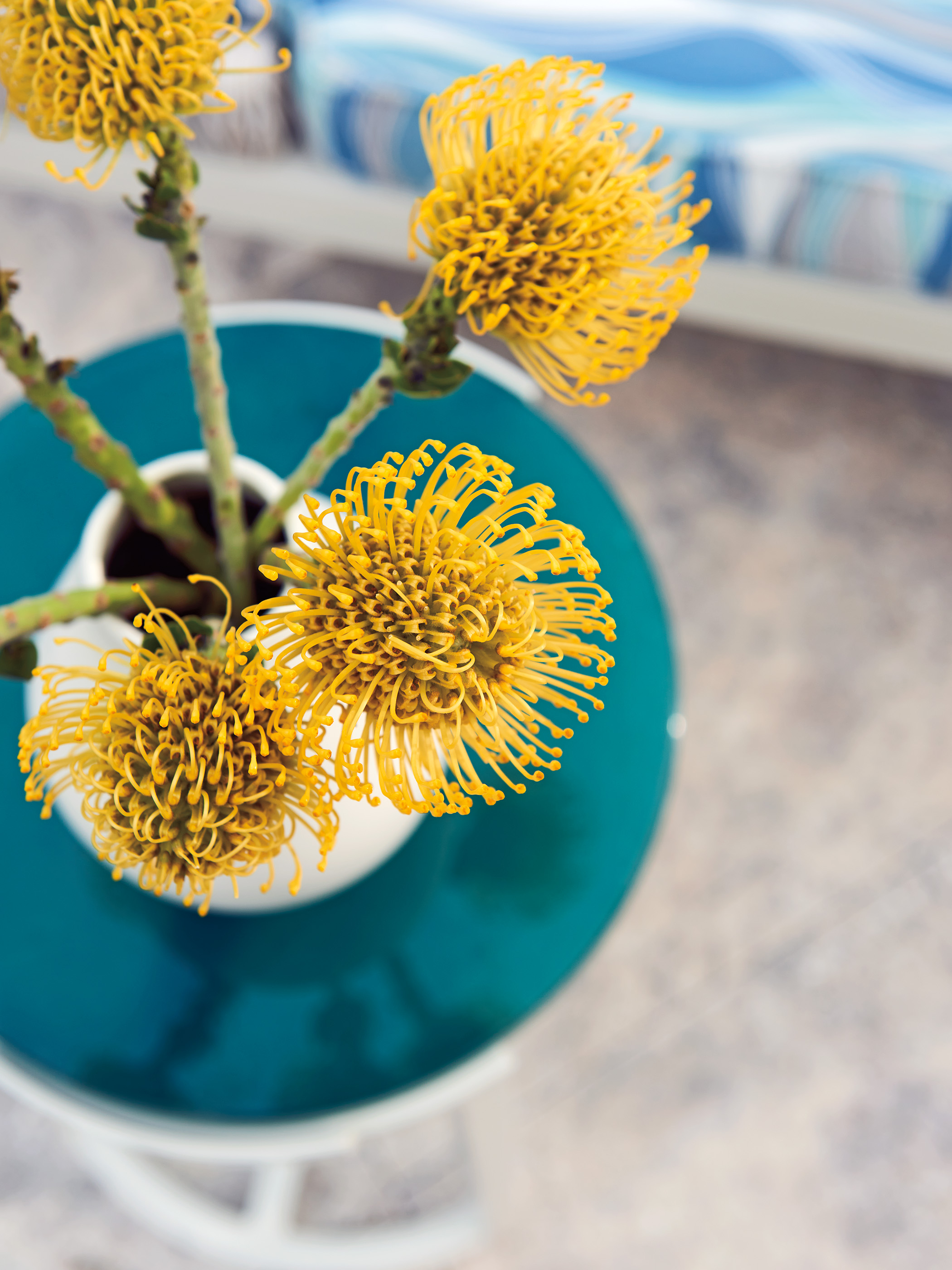 Tommy Bahama Outdoor Living Seabrook Accent Table