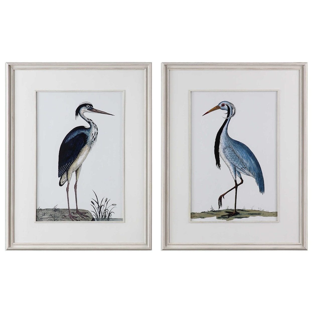 Uttermost Framed Prints Shore Birds Framed Prints Set of 2