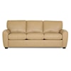 Palliser Connecticut Connecticut Queen Sofa Sleeper