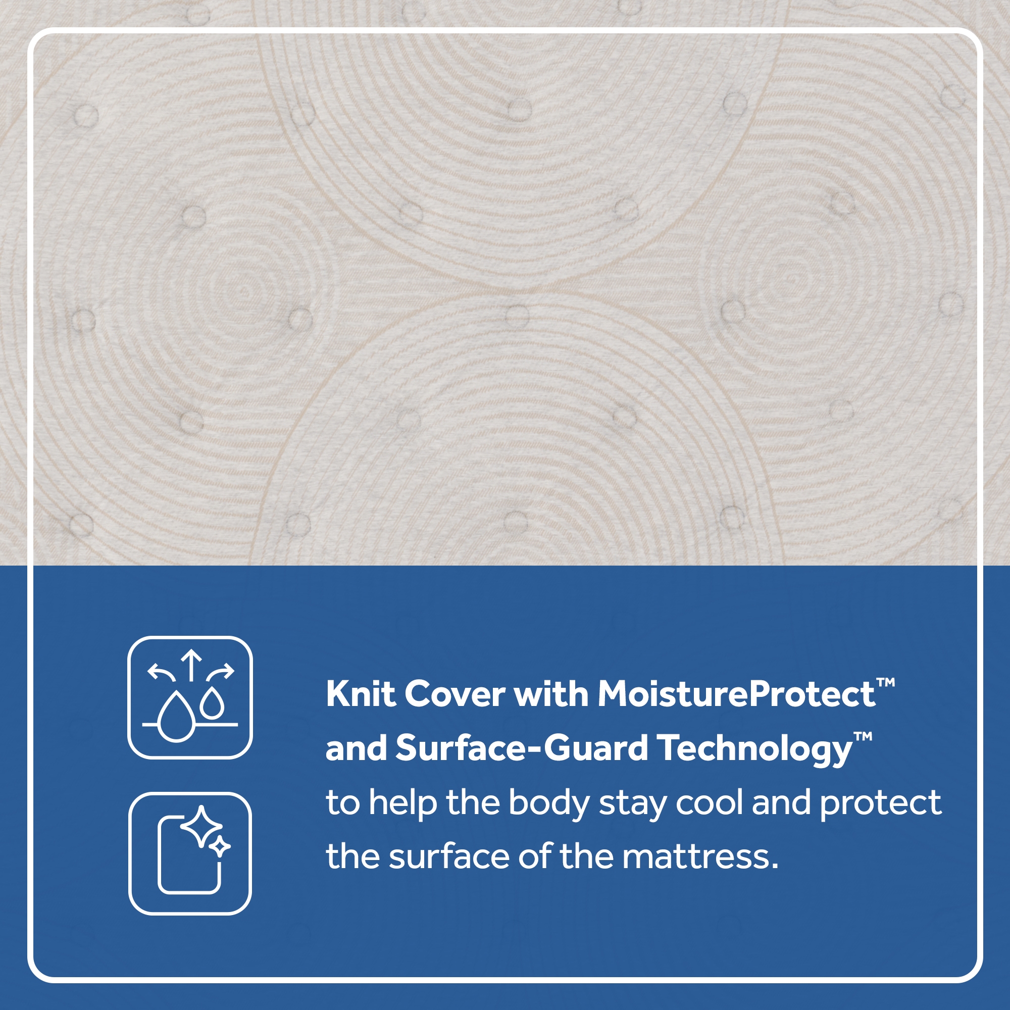 Sealy Dream Waves Soft Tight Top Dream Waves Soft Tight Top Split CK