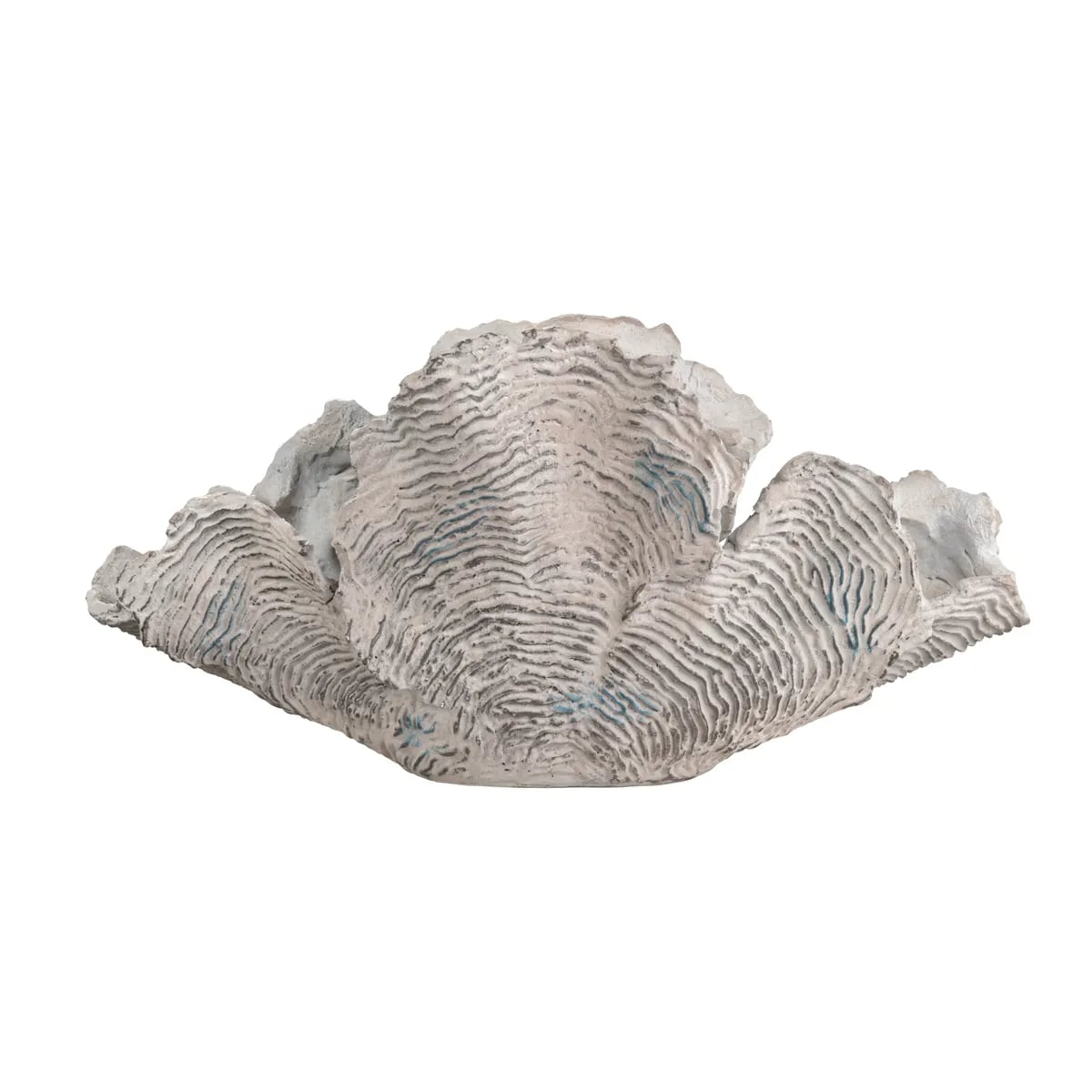 Collection Thumbnail