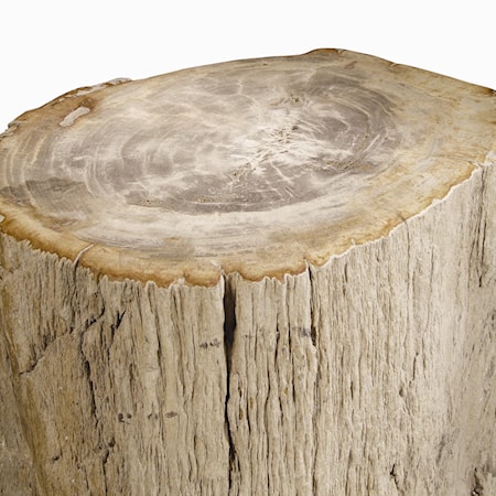 Petrified Accent Table