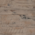 Watch Hill Weathered Grey