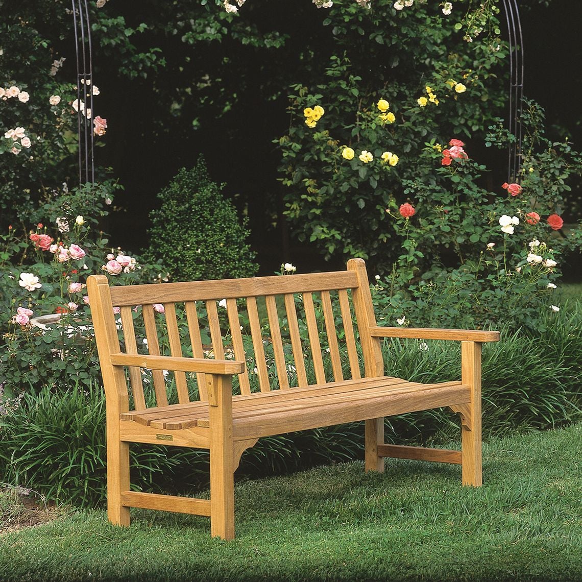 Collection Thumbnail