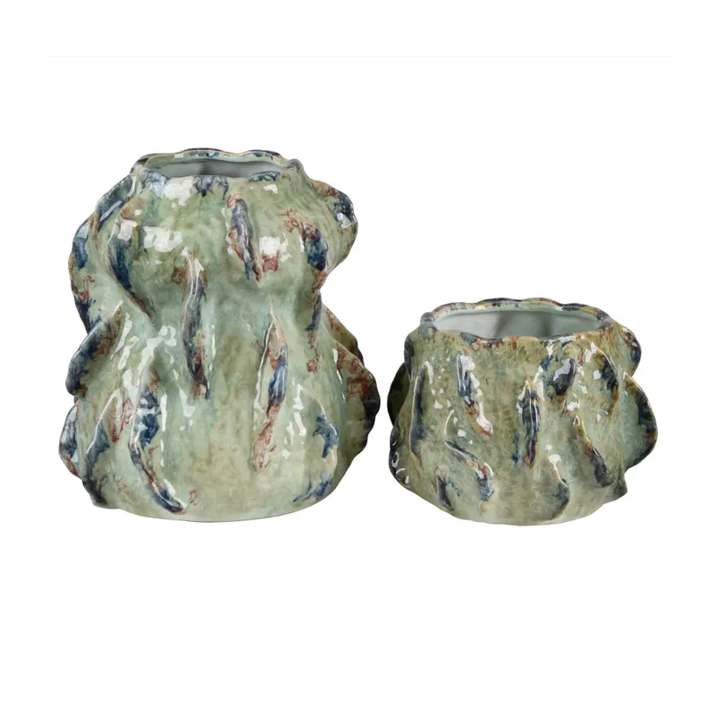 Collection Thumbnail