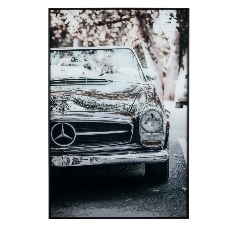 Collection Thumbnail