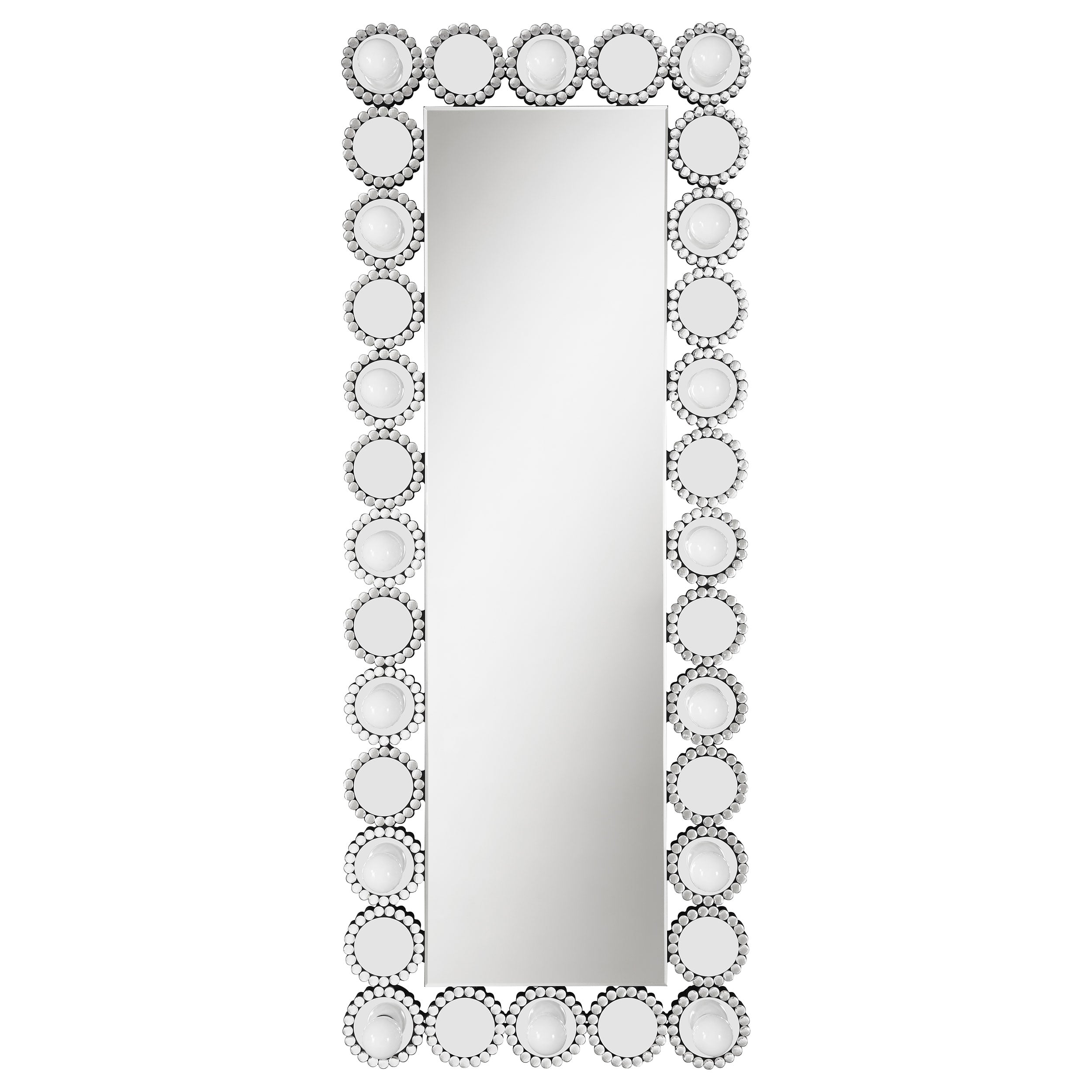 Aghes 24 x 62 Inch Wall Mirror w/ing