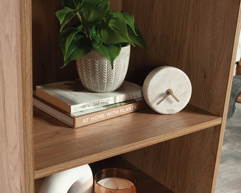 Bookcase with Two Adjustable Shelves