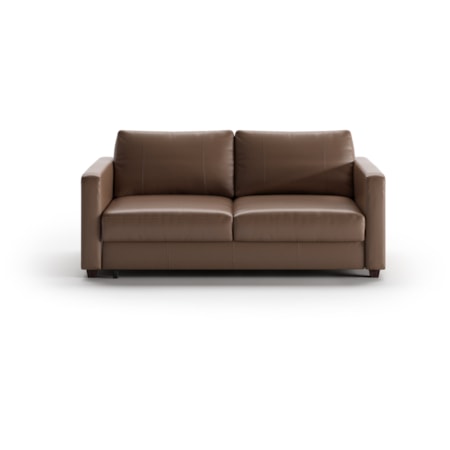 Queen Loveseat Sleeper