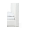 Modus International One Full Upholstered Modern Headboard