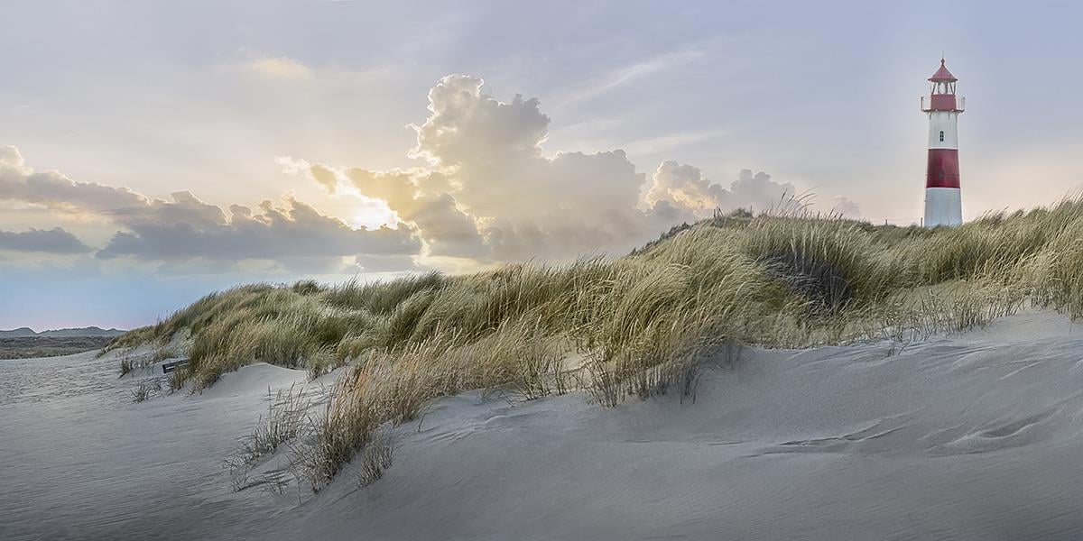 Giclee Canvas (Sold Separately)