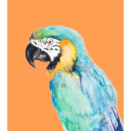 Giclee Canvas (Sold Separately)