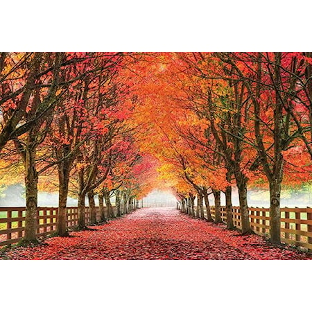 NORTH BEND TREES 45X60 CANVAS |