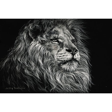 AFRICAN LION CANVAS ART |