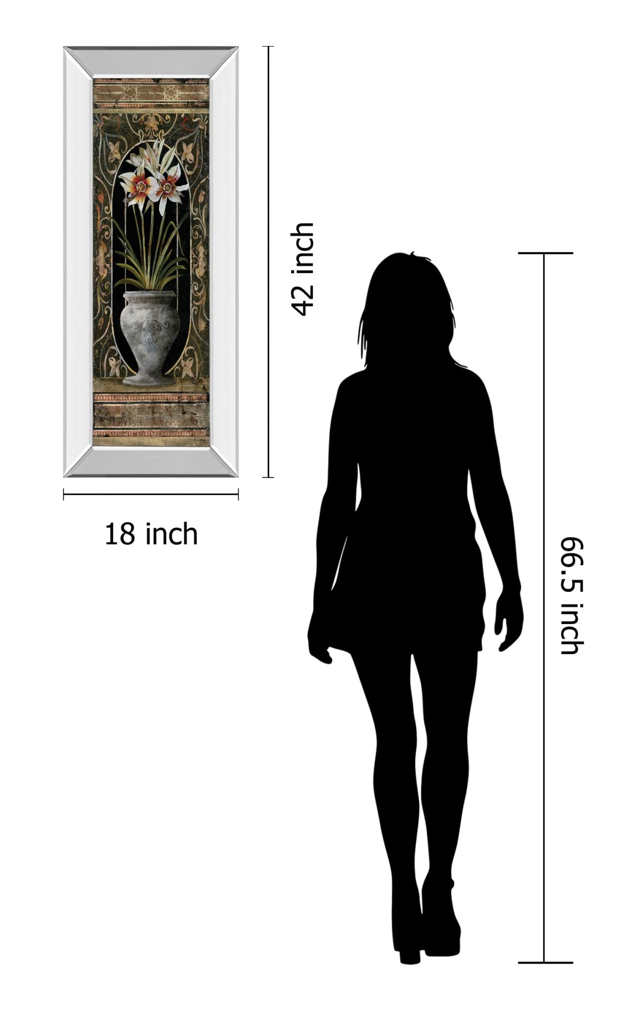 18X42 Mirror Frame Print