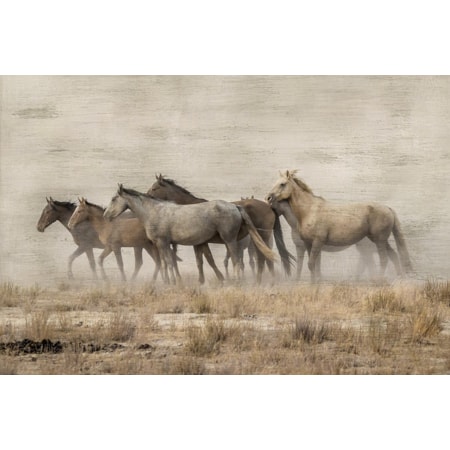 Giclee Canvas (Sold Separately)