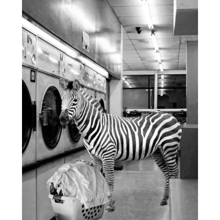 Giclee Canvas (Sold Separately)