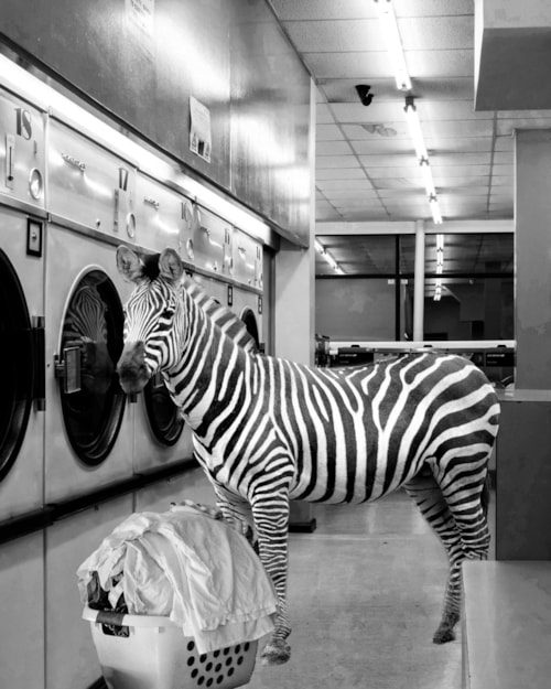 Giclee Canvas (Sold Separately)