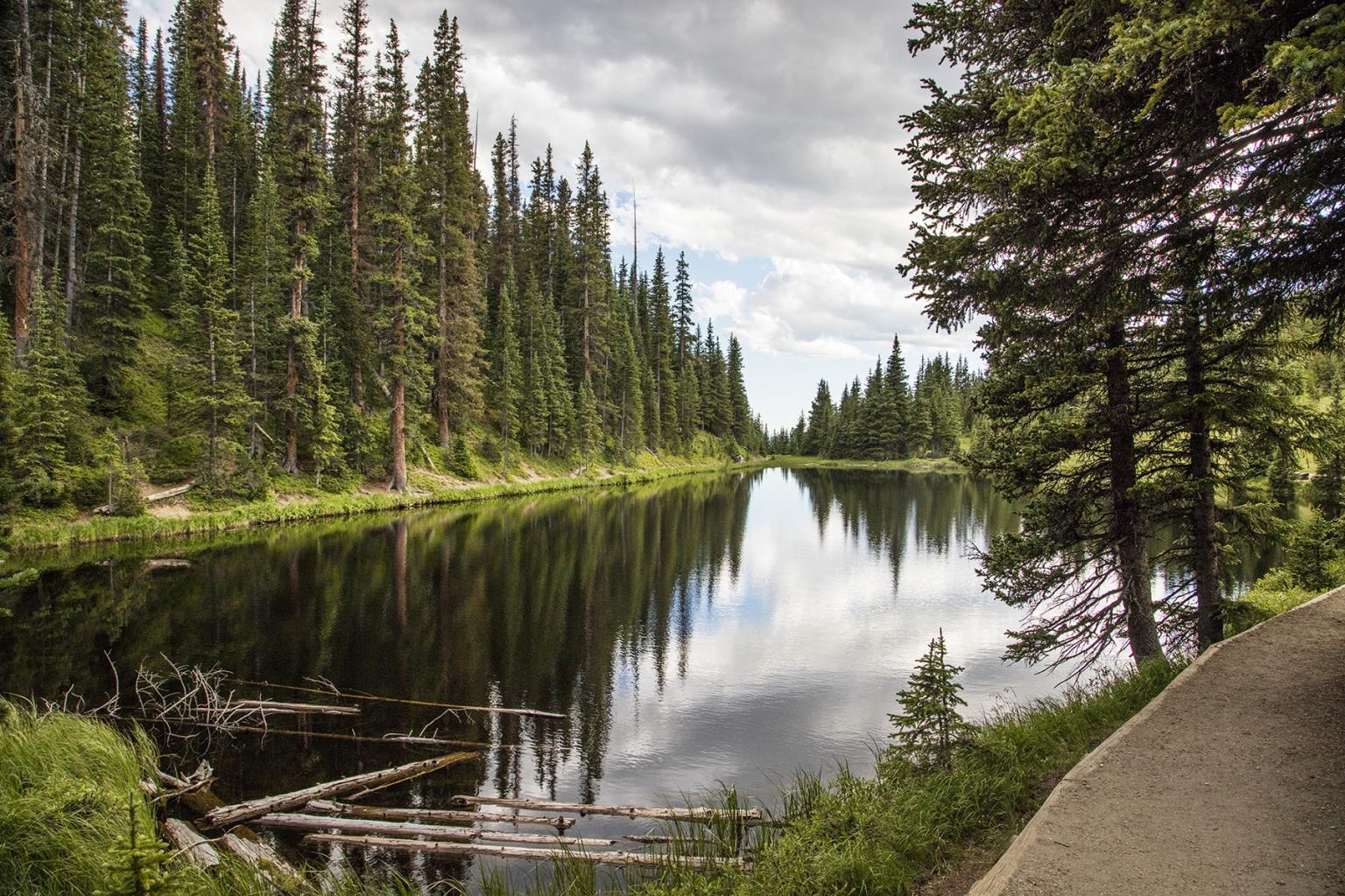 Giclee Canvas (Sold Separately)