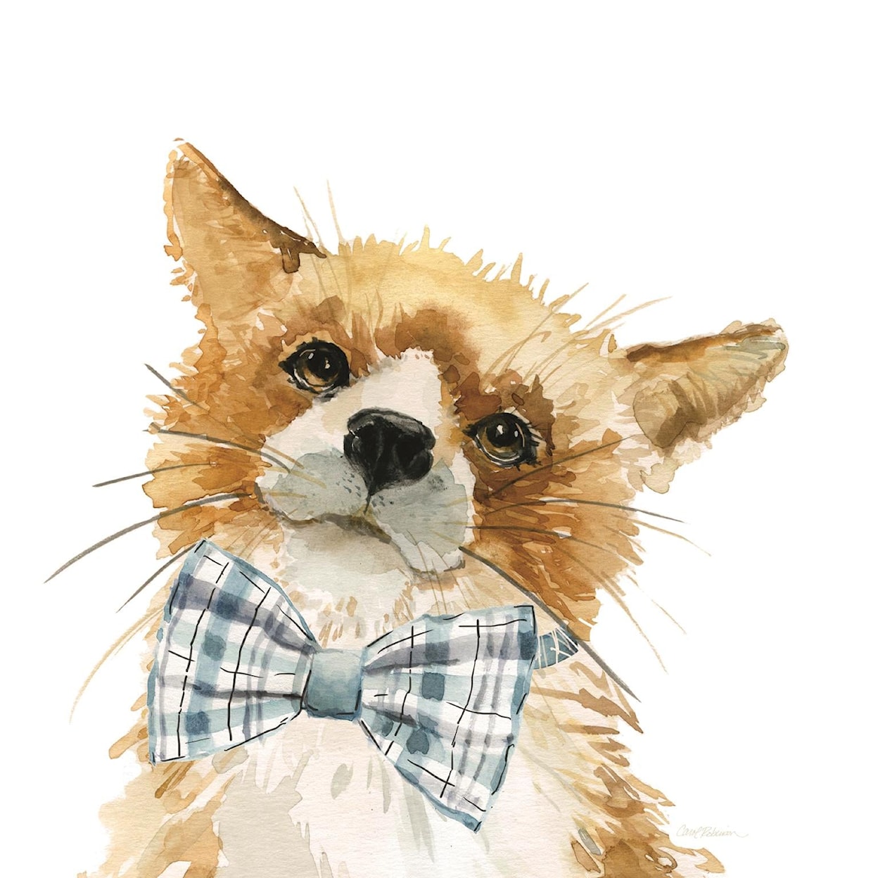 Classy Art Classy Art 24X24 KID FOX |