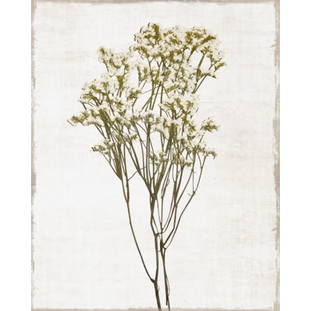 Giclee Canvas (Sold Separately)