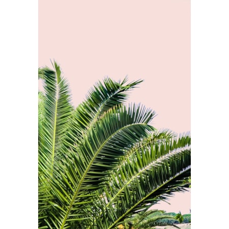 Giclee Canvas (Sold Separately)