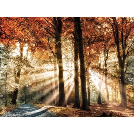 Giclee Canvas (Sold Separately)