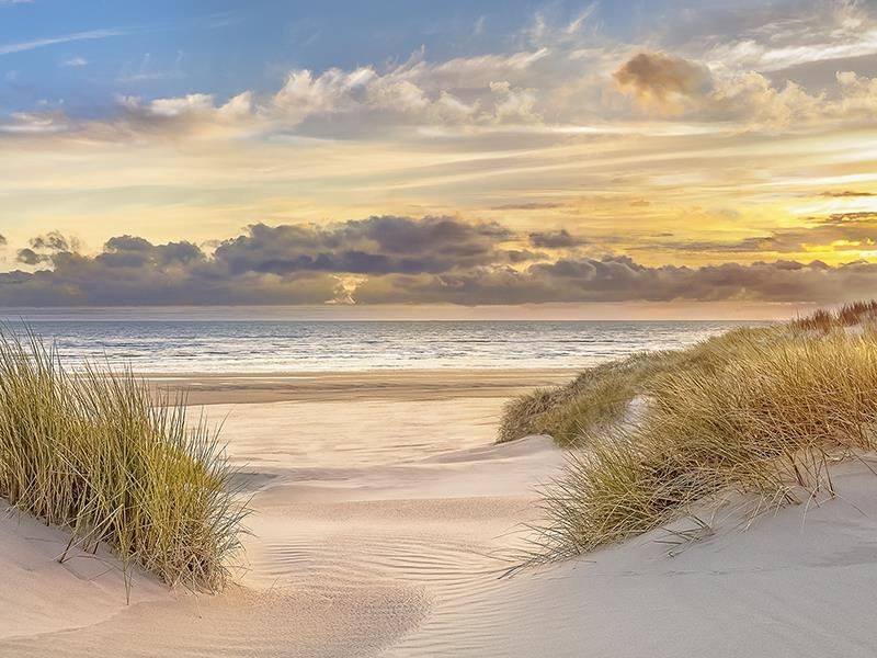 Giclee Canvas (Sold Separately)