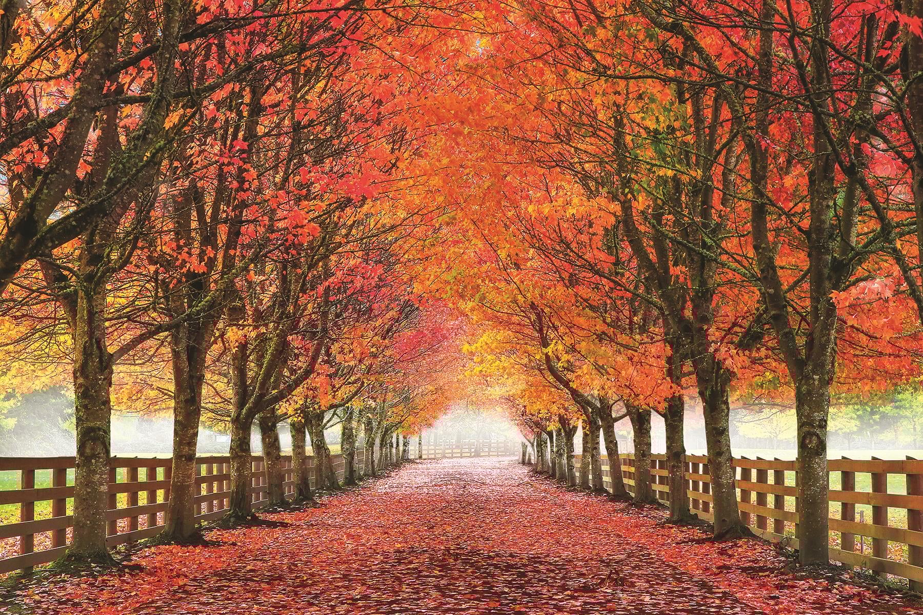 Giclee Canvas (Sold Separately)