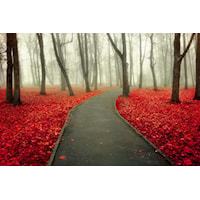 RED TREES TEMPERED GLASS | WALL ART