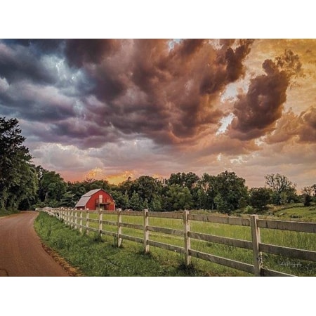 Giclee Canvas (Sold Separately)