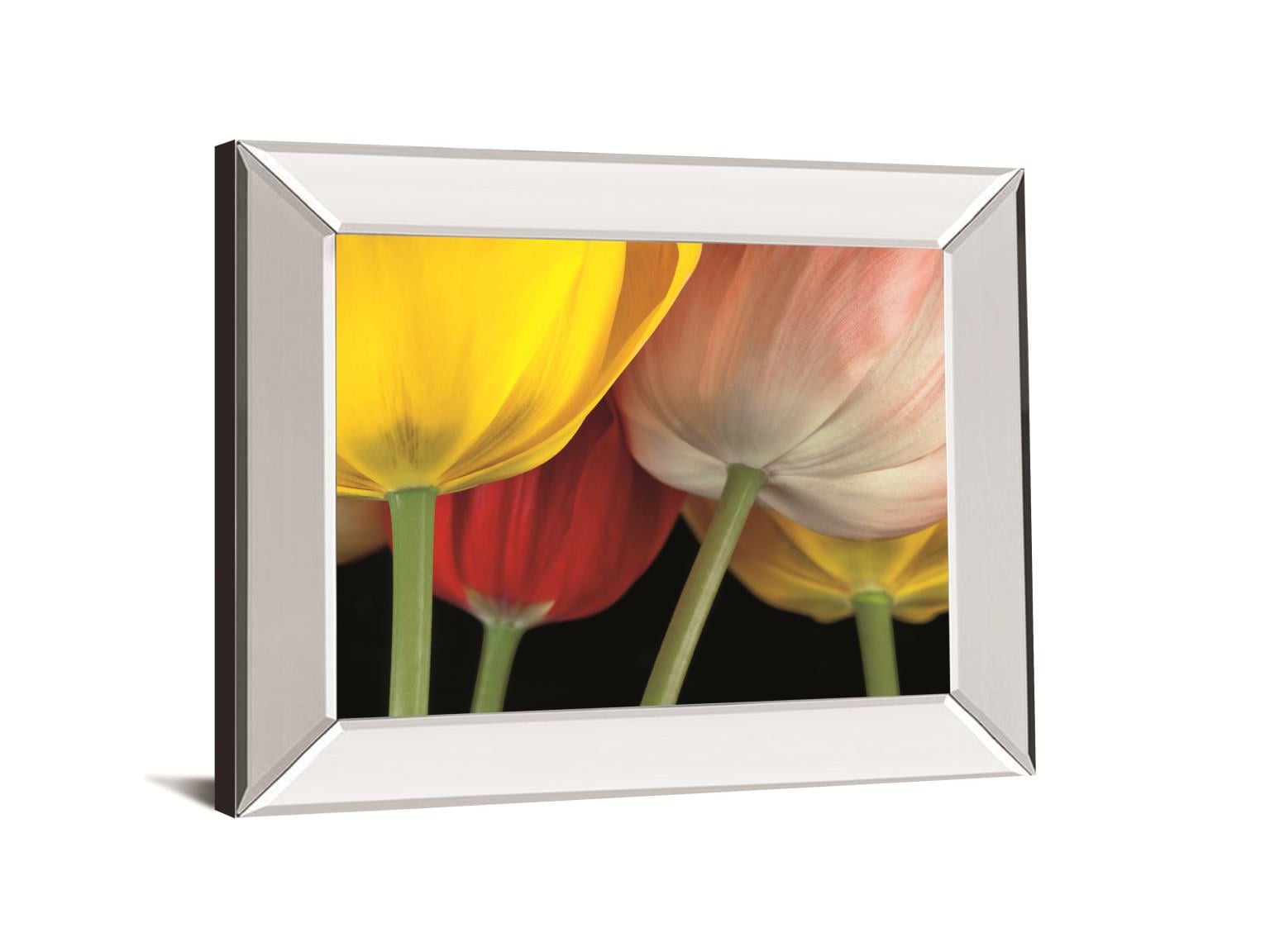 22X26 Mirror Frame Print
